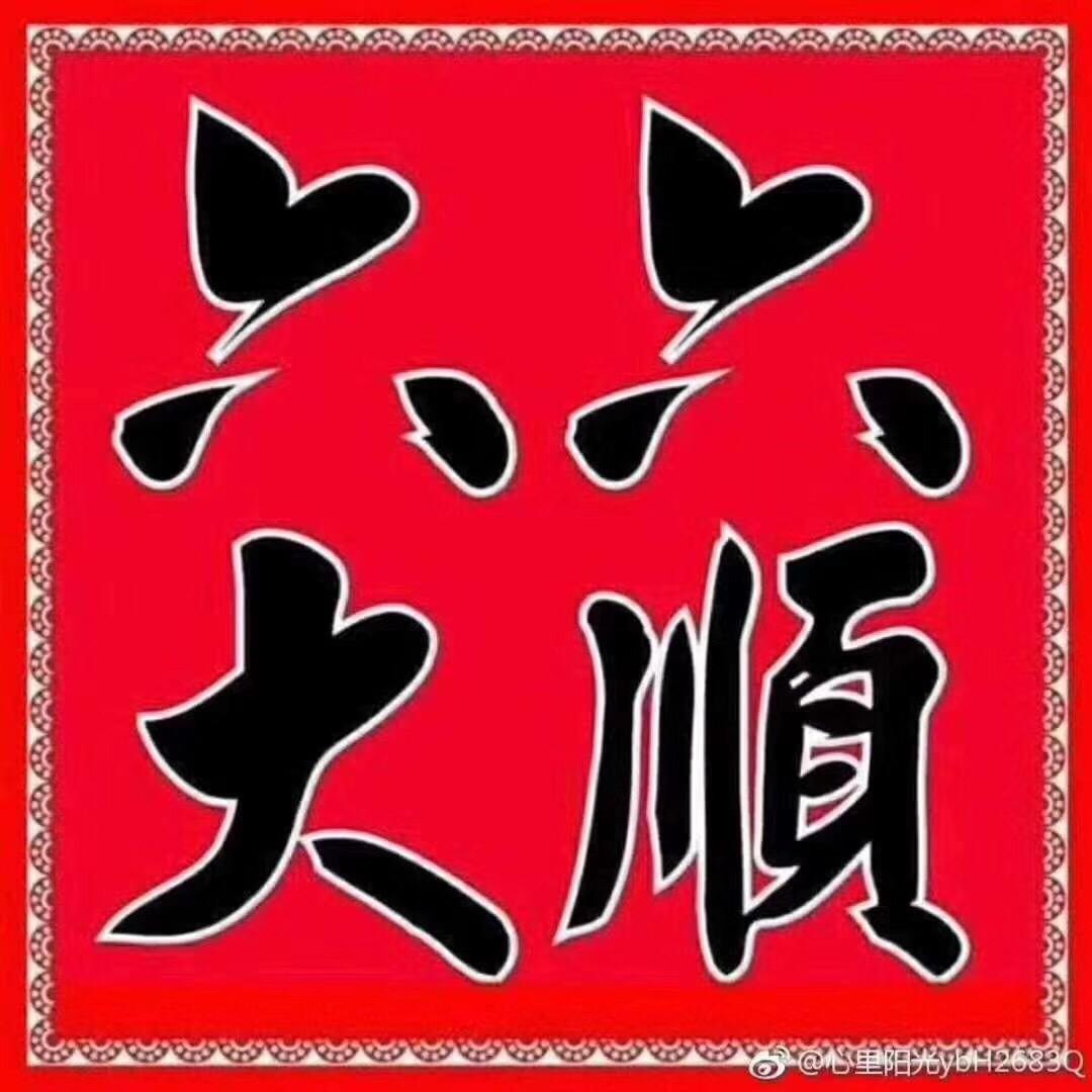 中顺利达