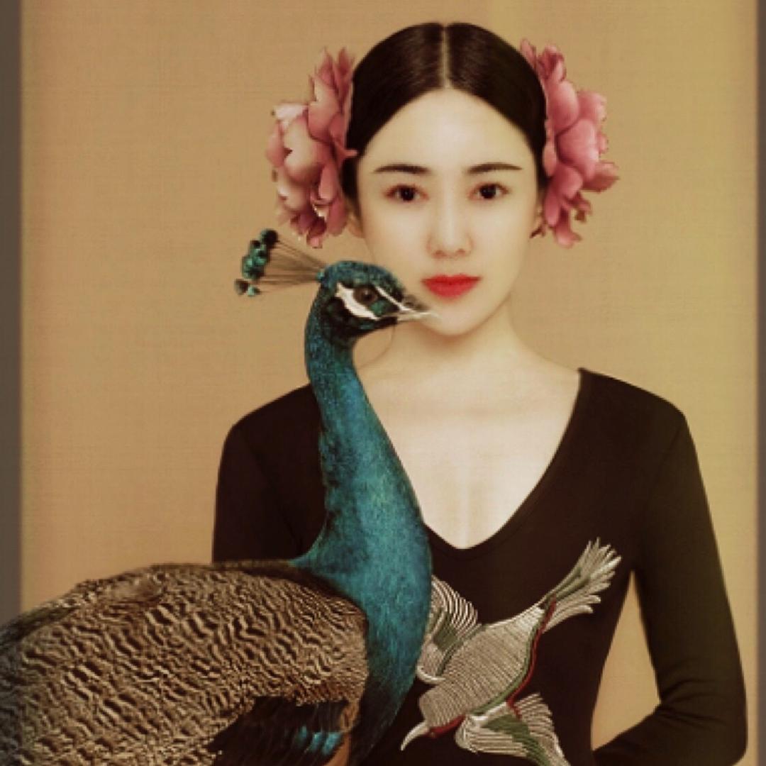 阳光下的百合
