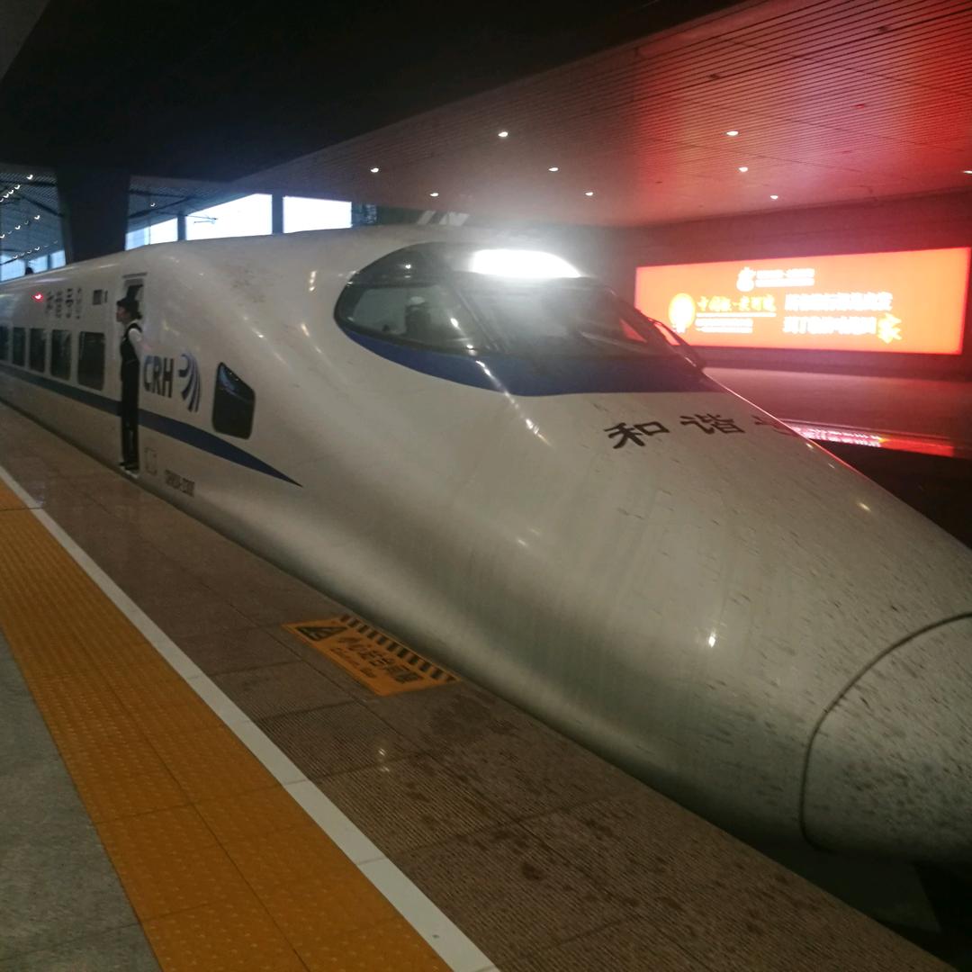 自繁专业卖三元小猪李晓东