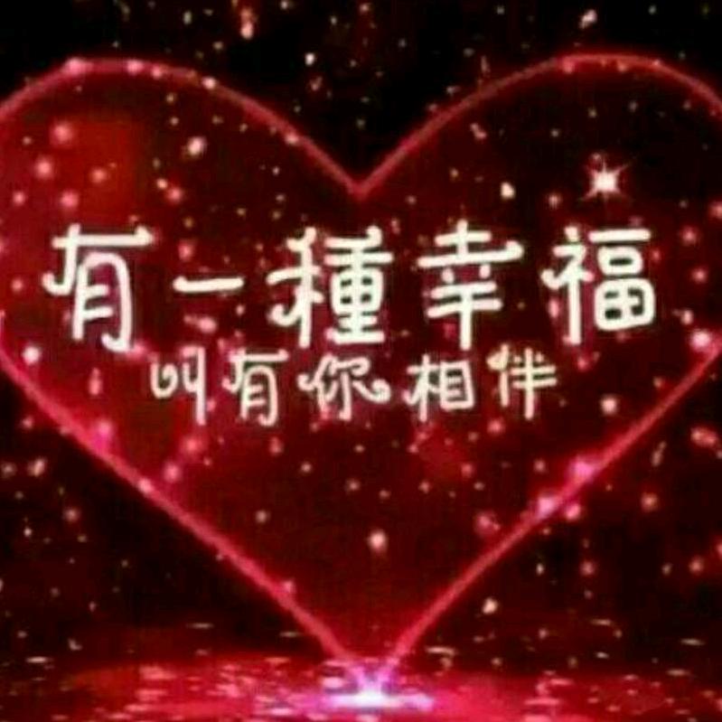 宁静的港湾