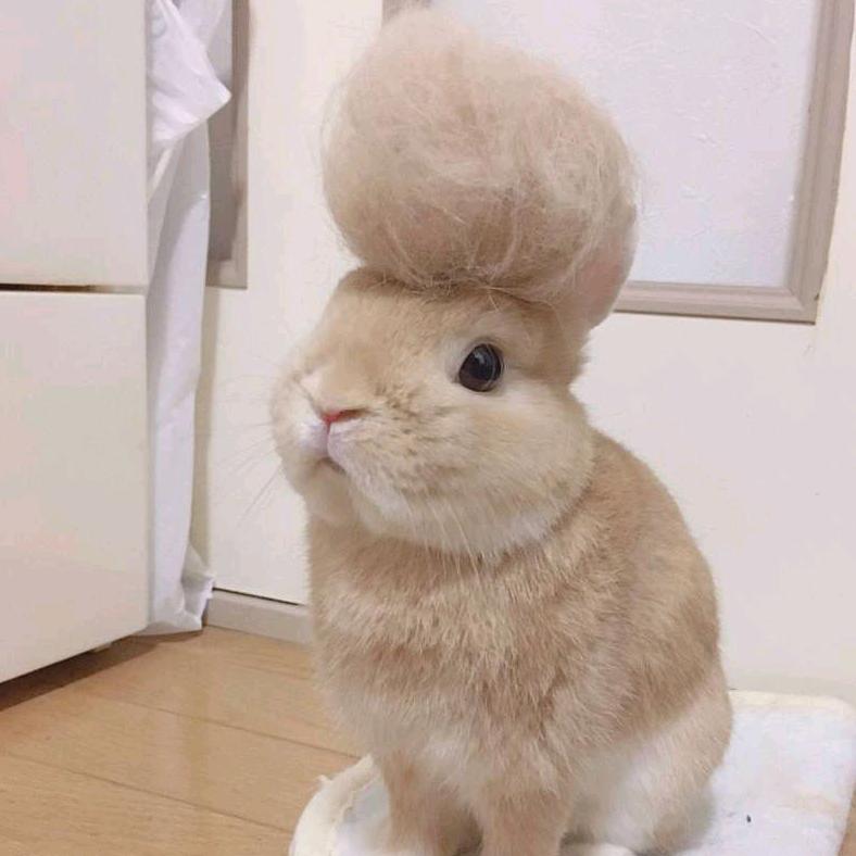 孟婆旁边卖烧烤