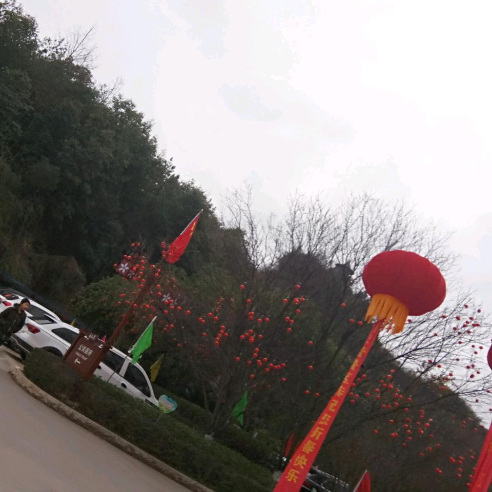 开心就好