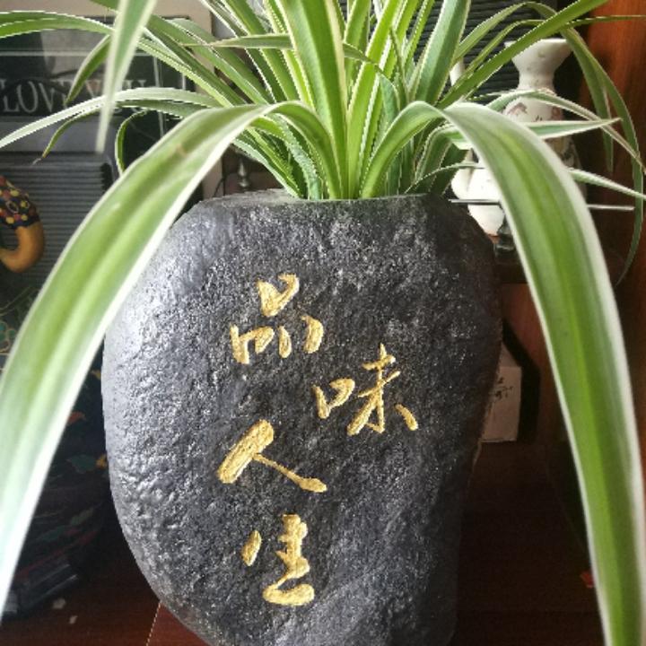 邵哥收藏