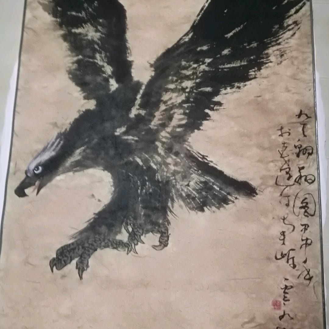 海