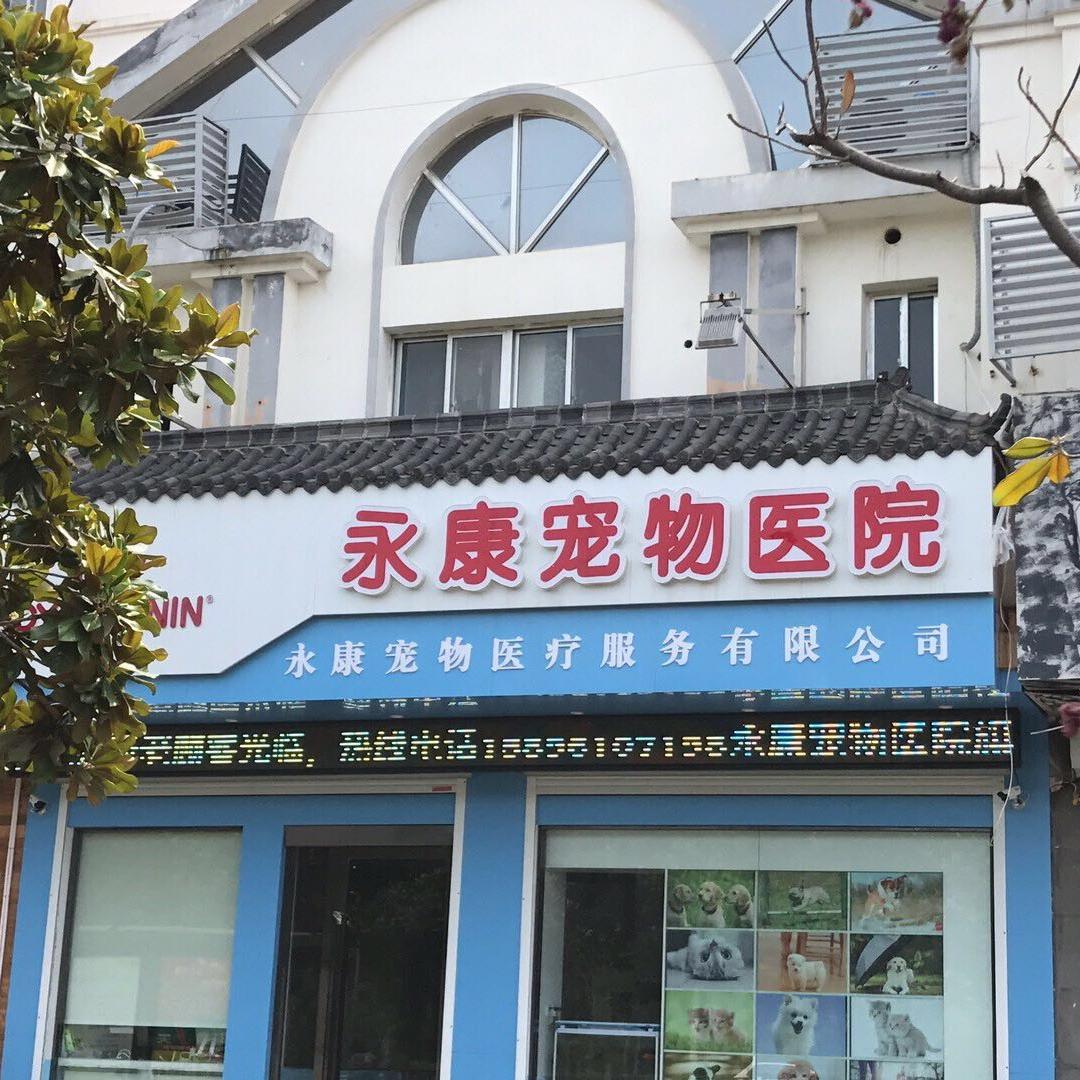 永康宠物医院