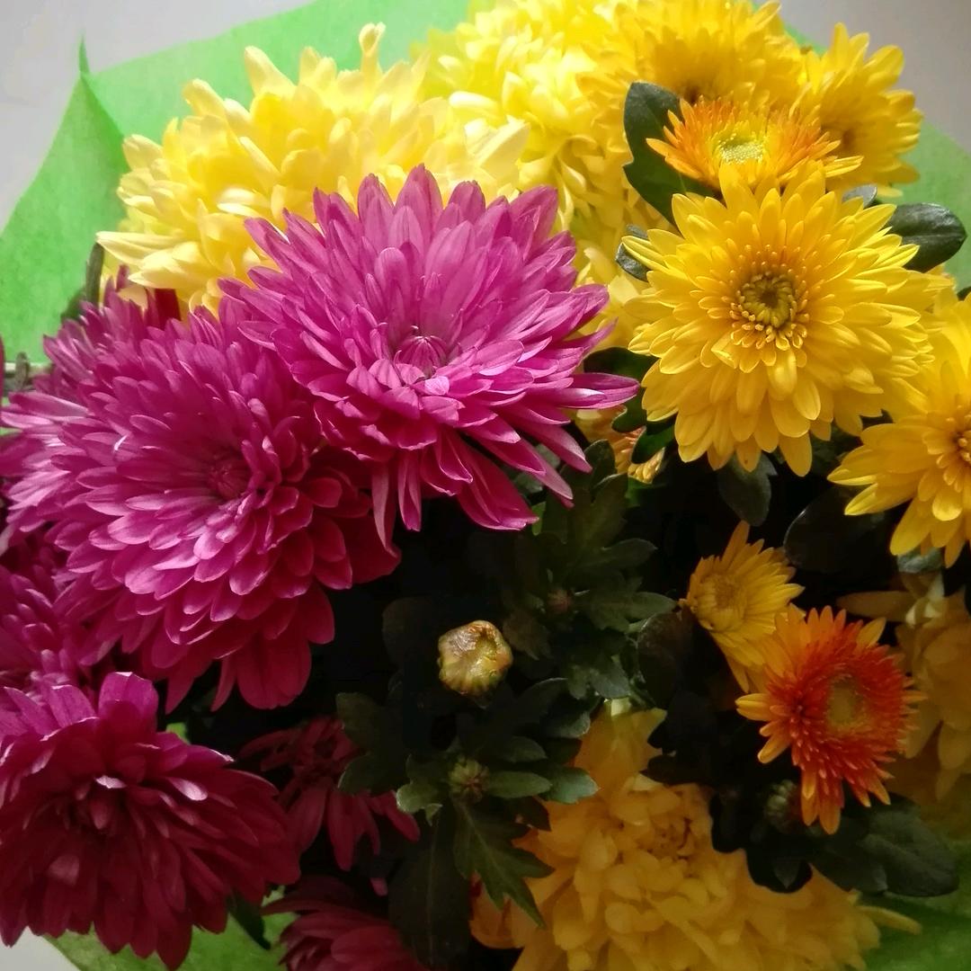 静待花开