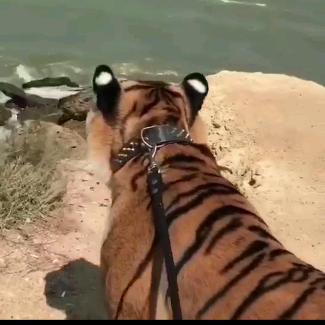 用户7449647410459刘喜鹏