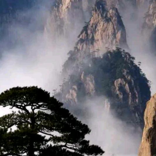 泰山〈关赞必回〉