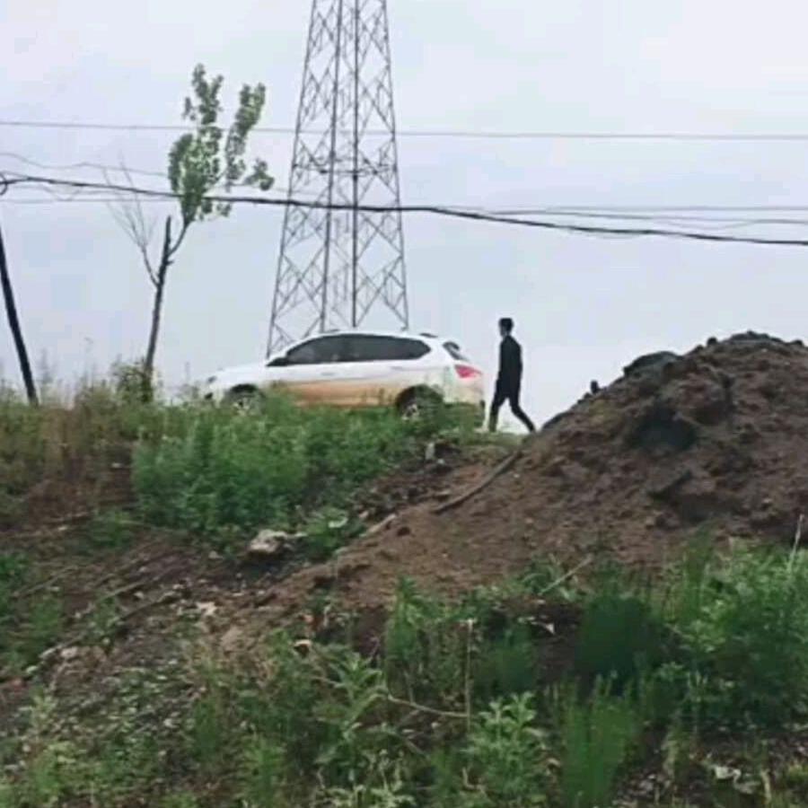 枫林叶落