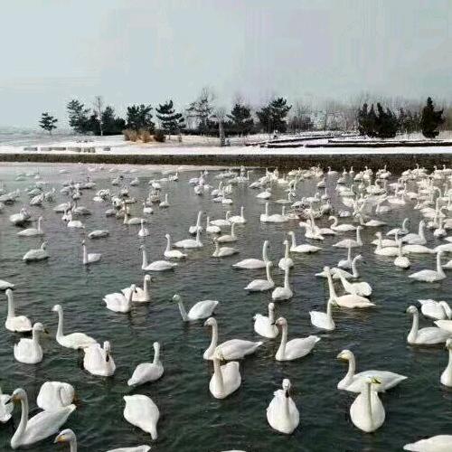 @刘霞·