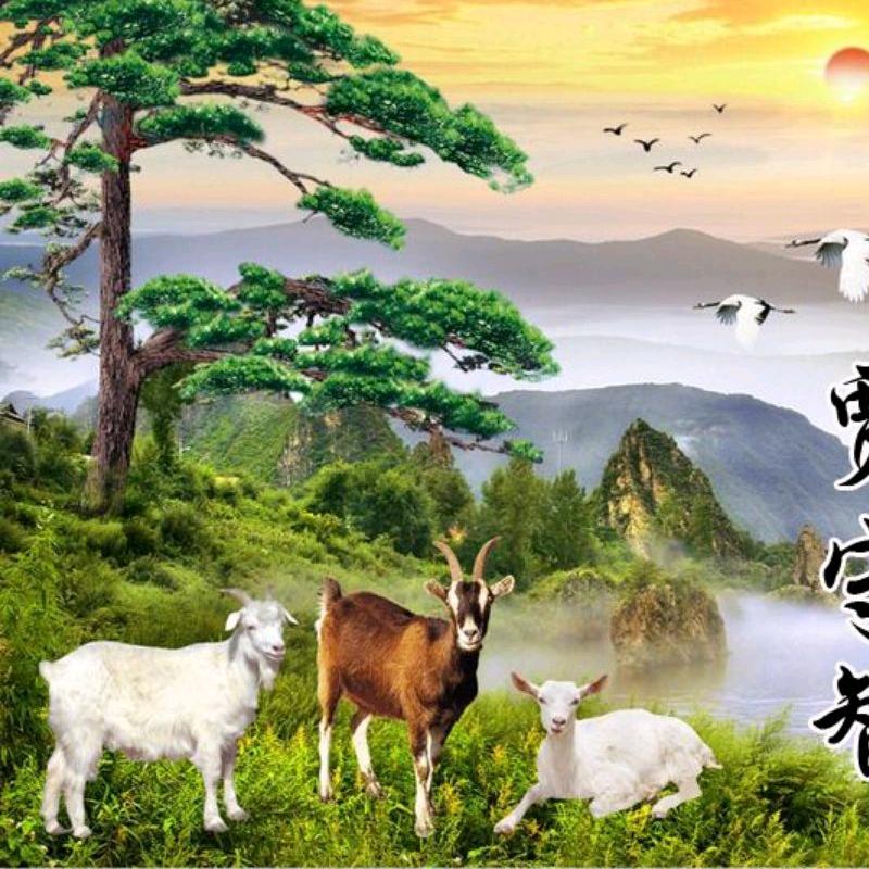 三羊开泰