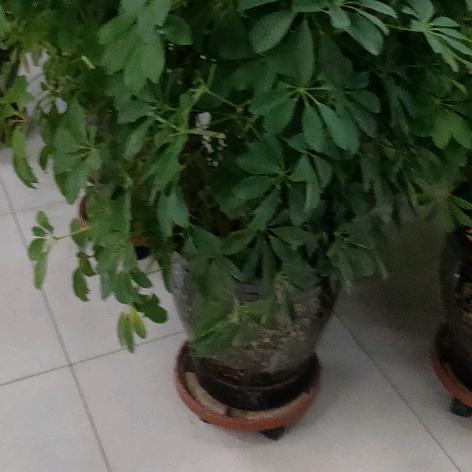 潇洒走一回，有关必回，