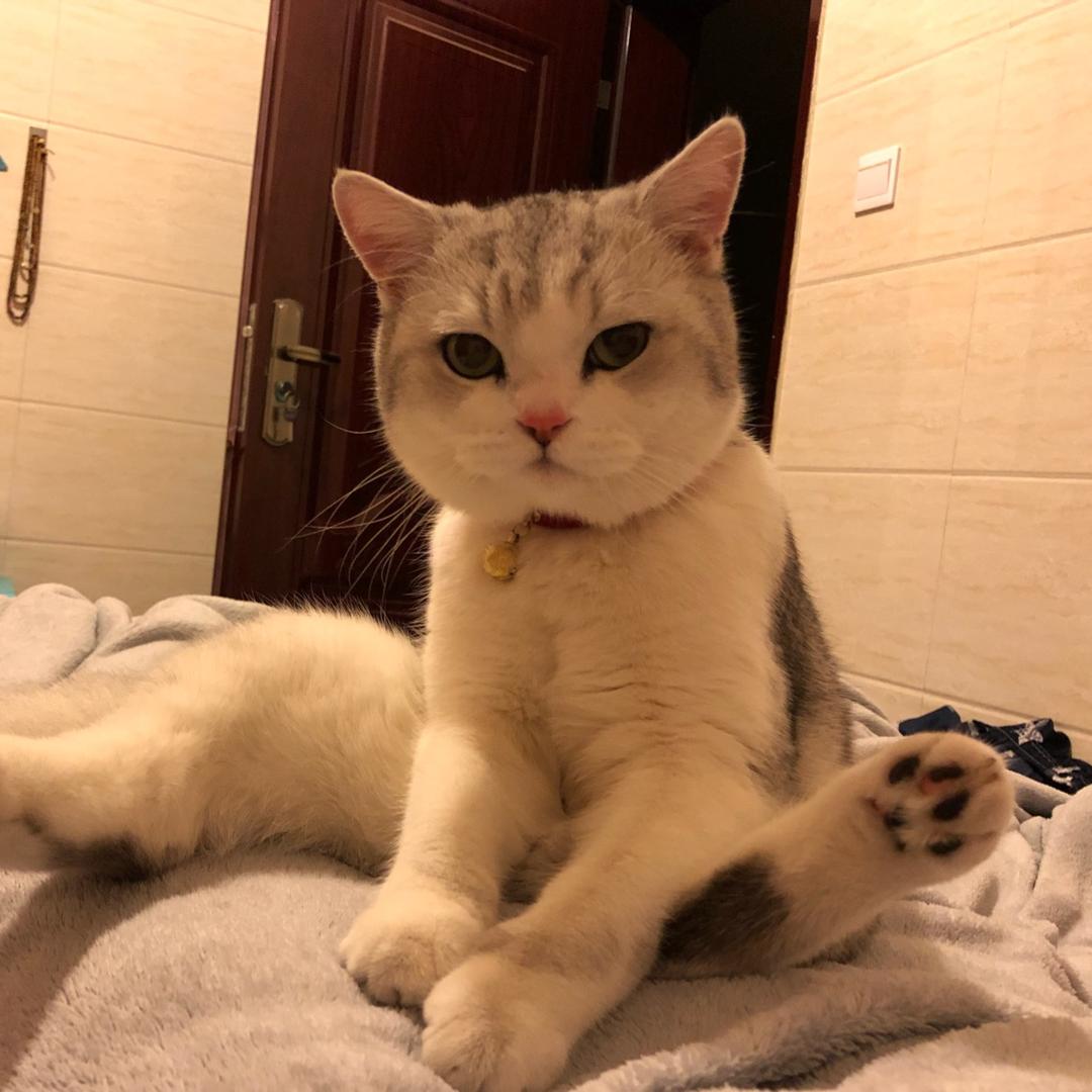 吖来份海蛎煎@抖音