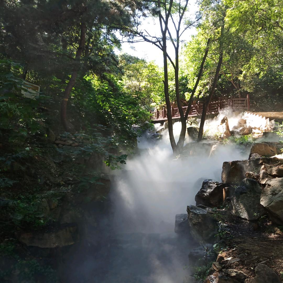 《行者》普洱茶