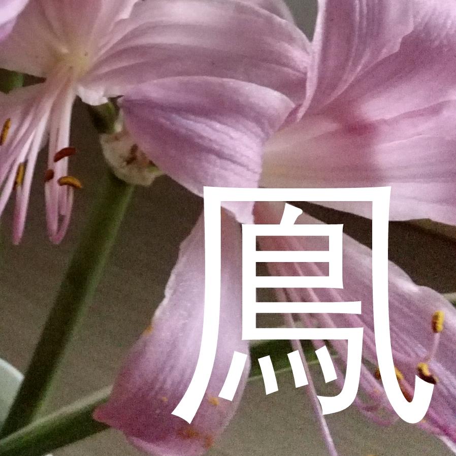 现实中的我