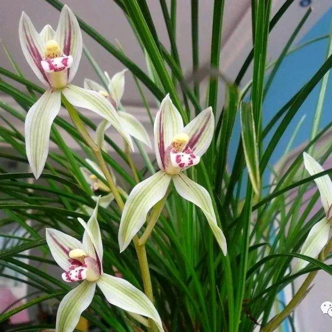 💕᭄ꦿ相伴ོ࿆🕊一生💕᭄ꦿ