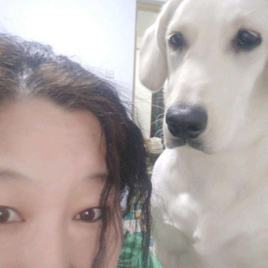 调皮捣蛋的赵小宝
