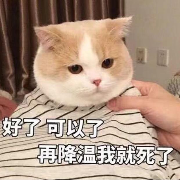 尤里