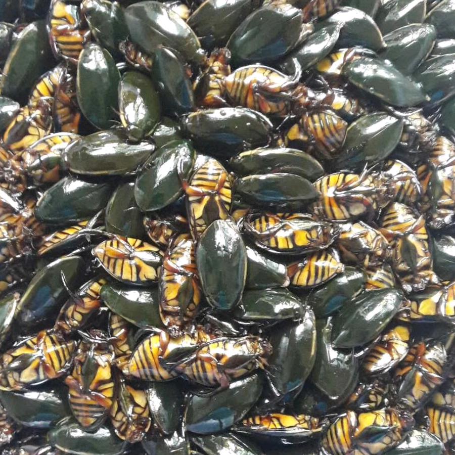 彬记餐饮管理，，