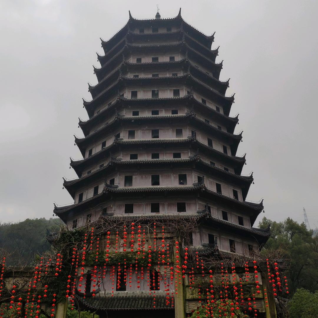月儿弯弯🐍