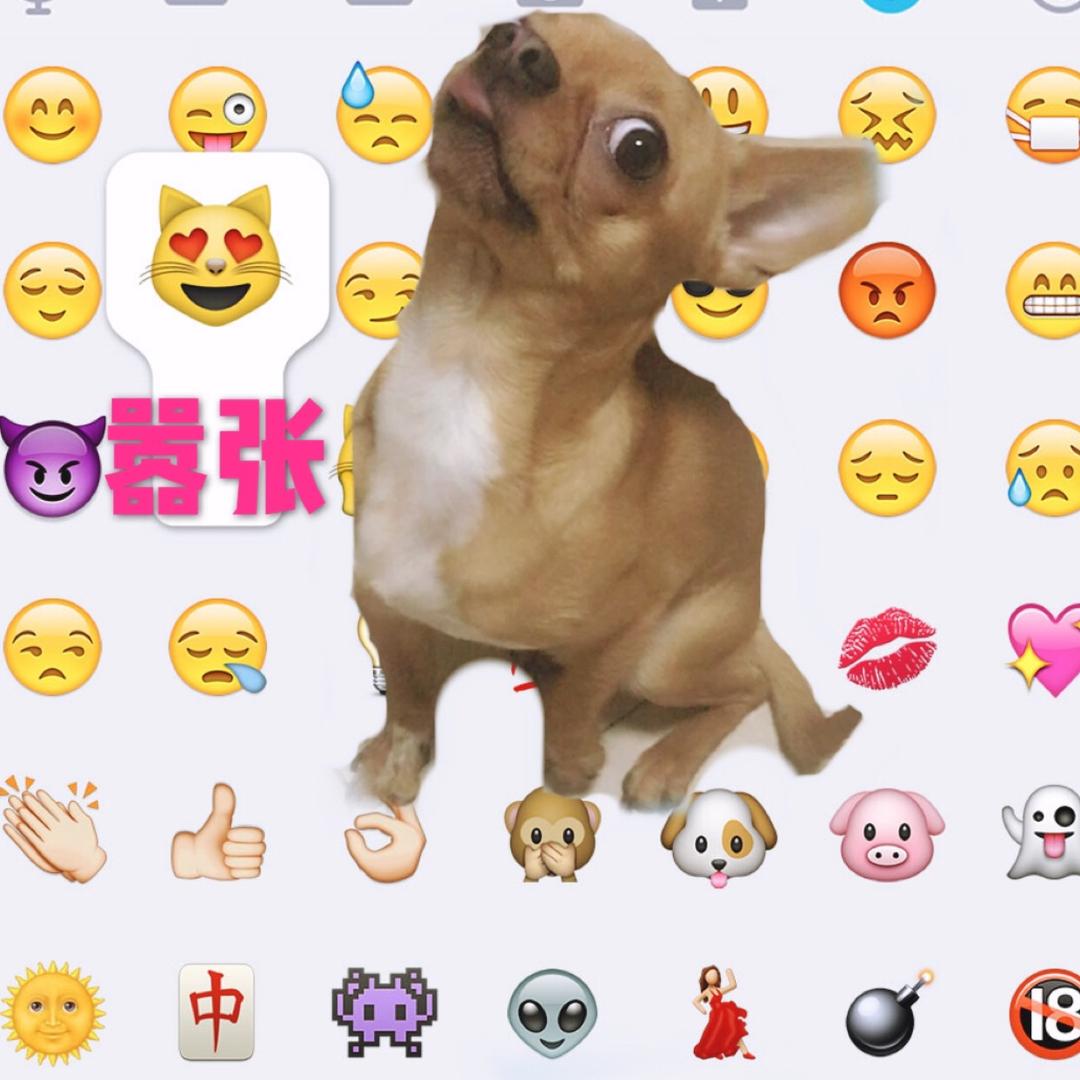 樱桃是个小瓢虫