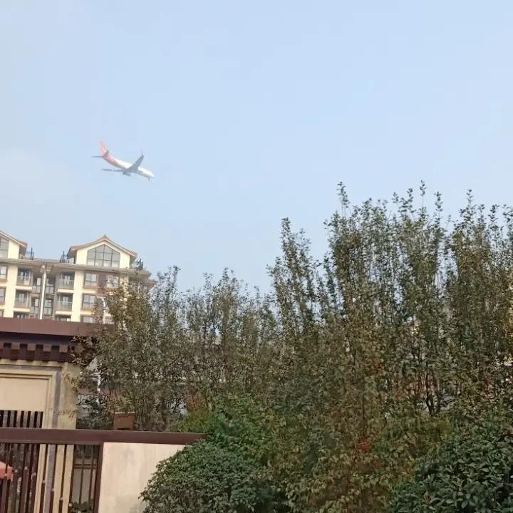 阳光