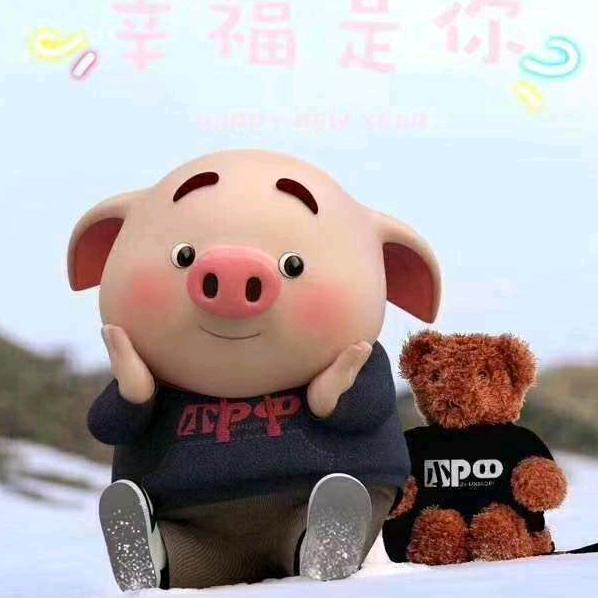雾里看花