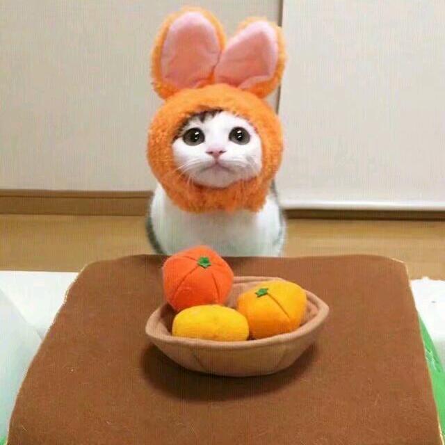 听 你