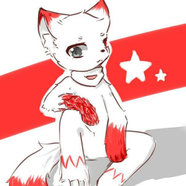 怪-猫