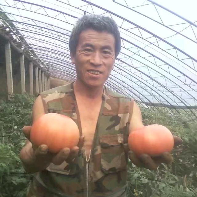 快乐的农夫