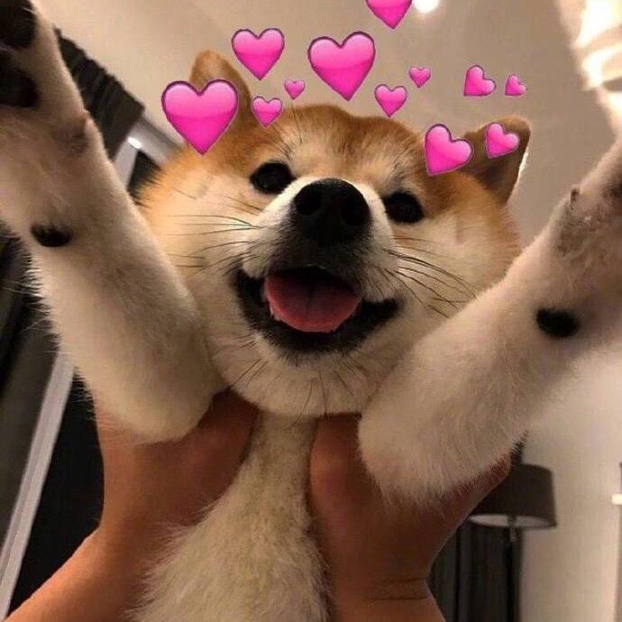 篱
