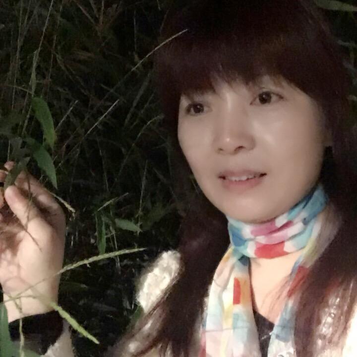毛玉兰