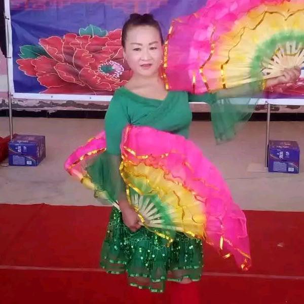 乐乐燕子飞