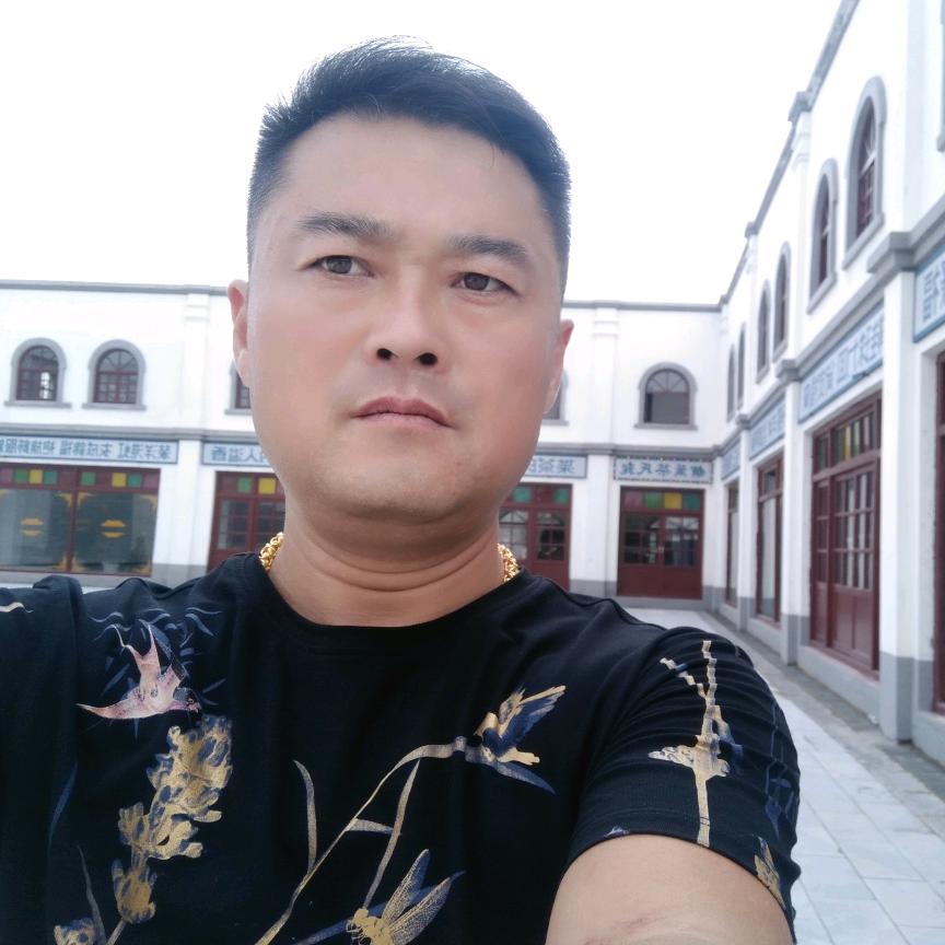 统治猪市