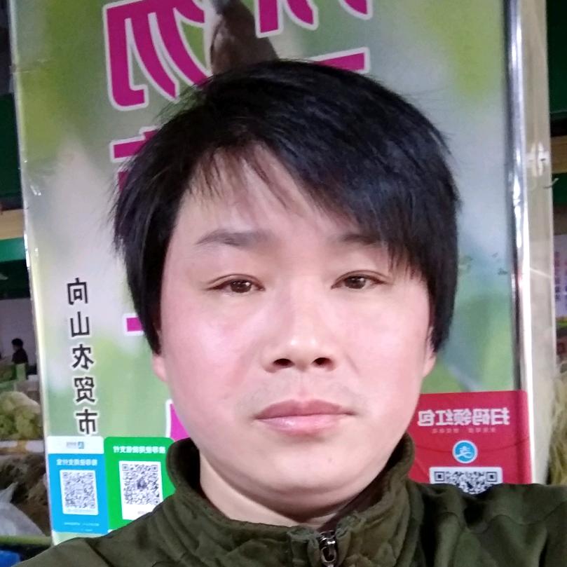 刘不住你的心