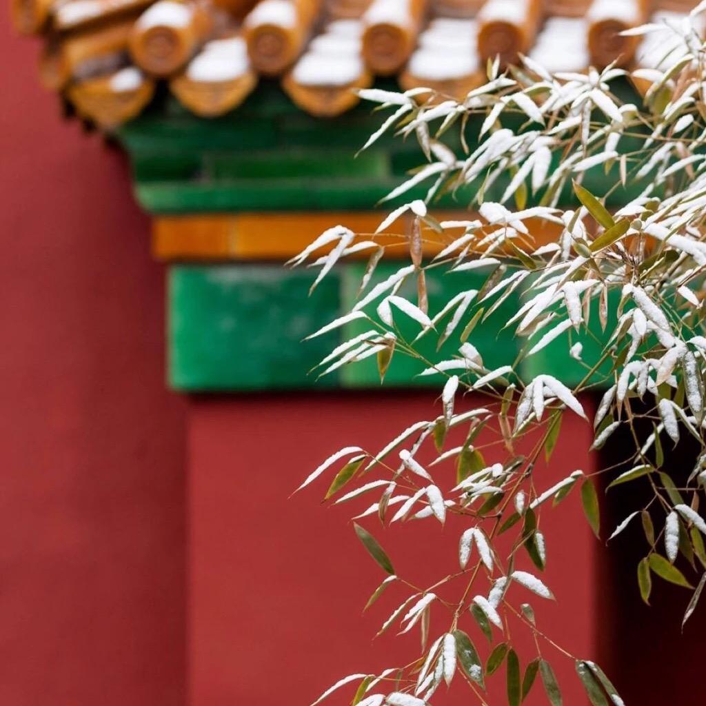 台州椒江酱子汉服婚服工作室（蒋纾谊）