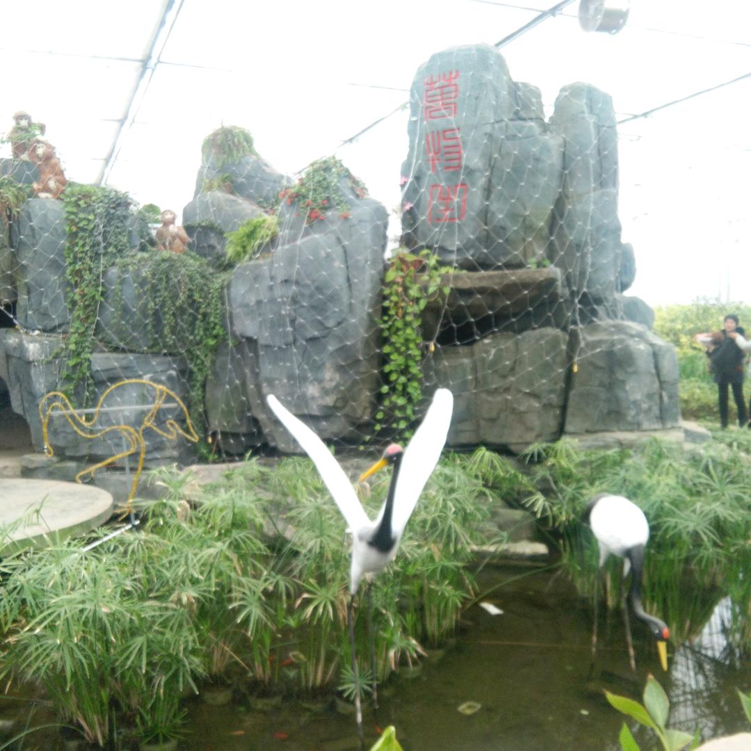 平安是福