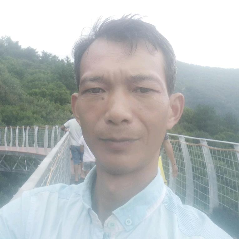 醉挽清风