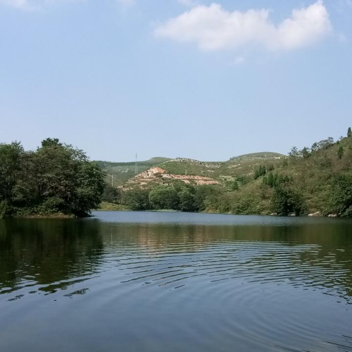 亮哥