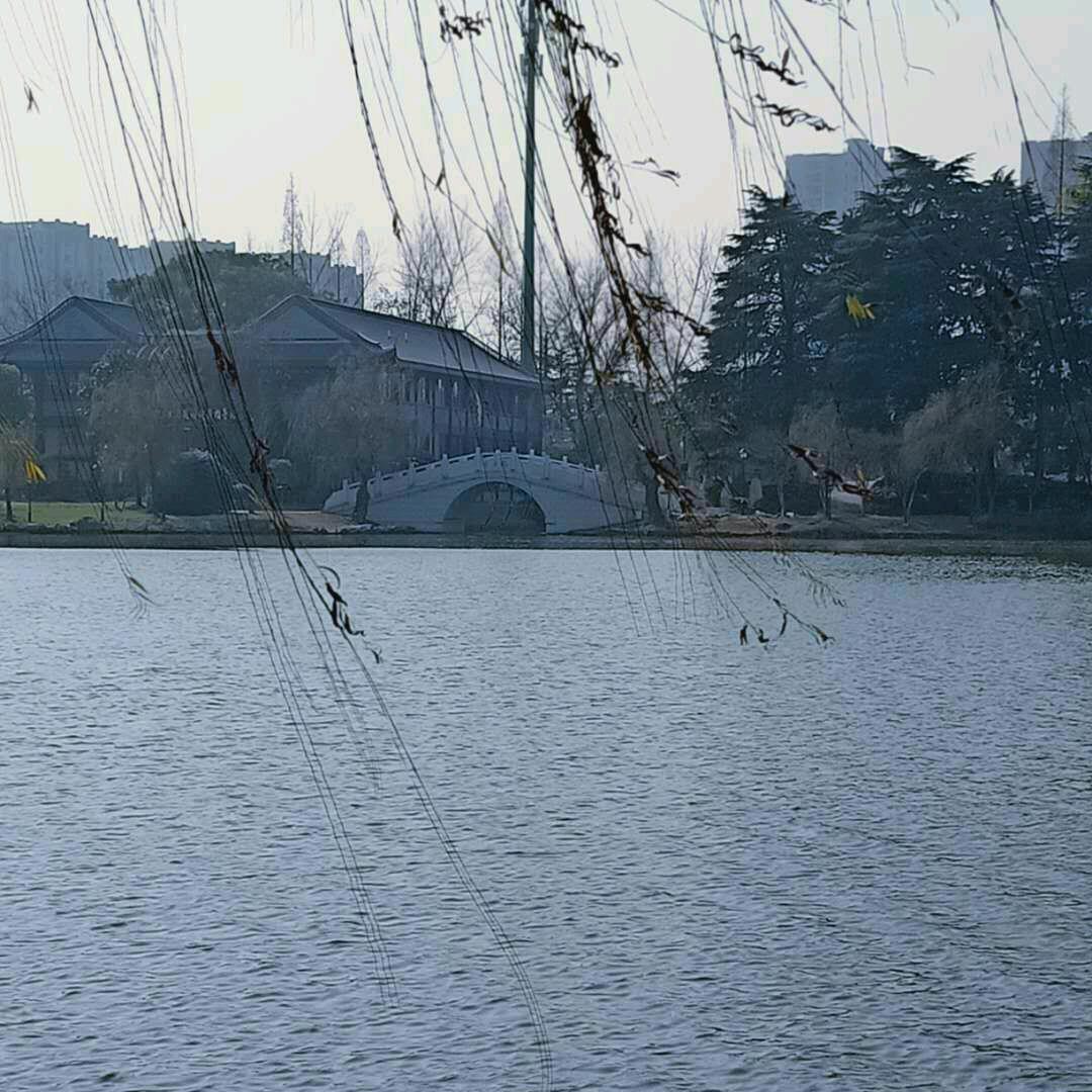王朝马汉