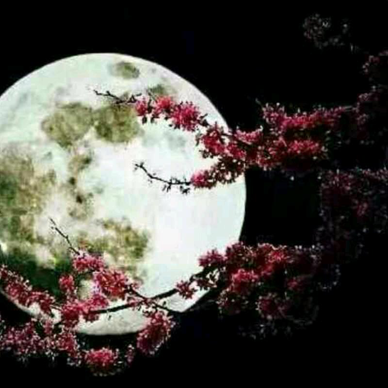王二红冻货
