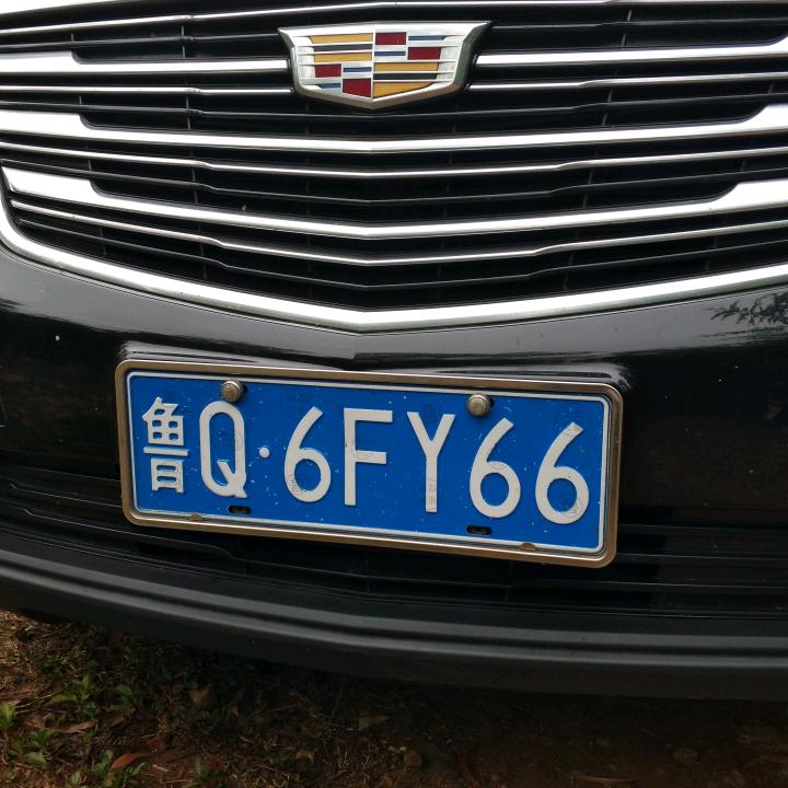 上海冬瓜王哥