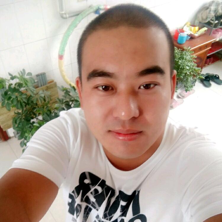 总有爱妃想要朕