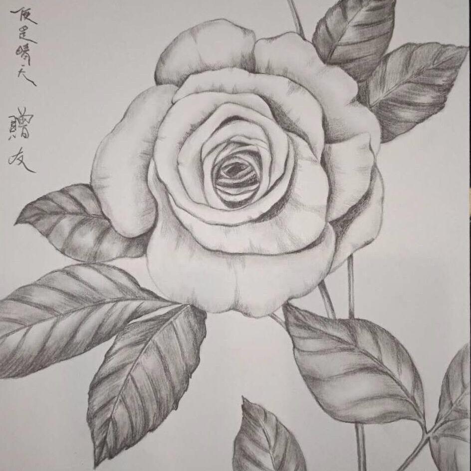 “周四的璀璨星光”