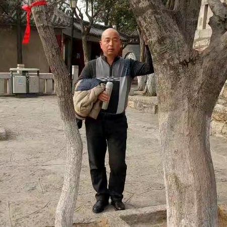 菩提非树