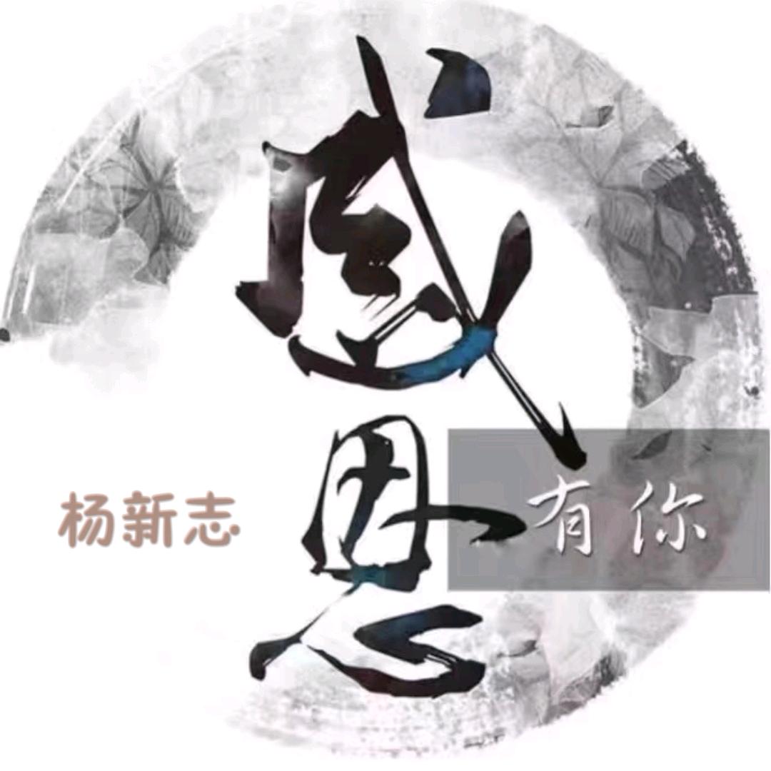 杨新志🎷萨克斯