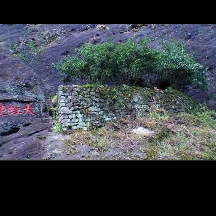 杨梅岭岩茶厂