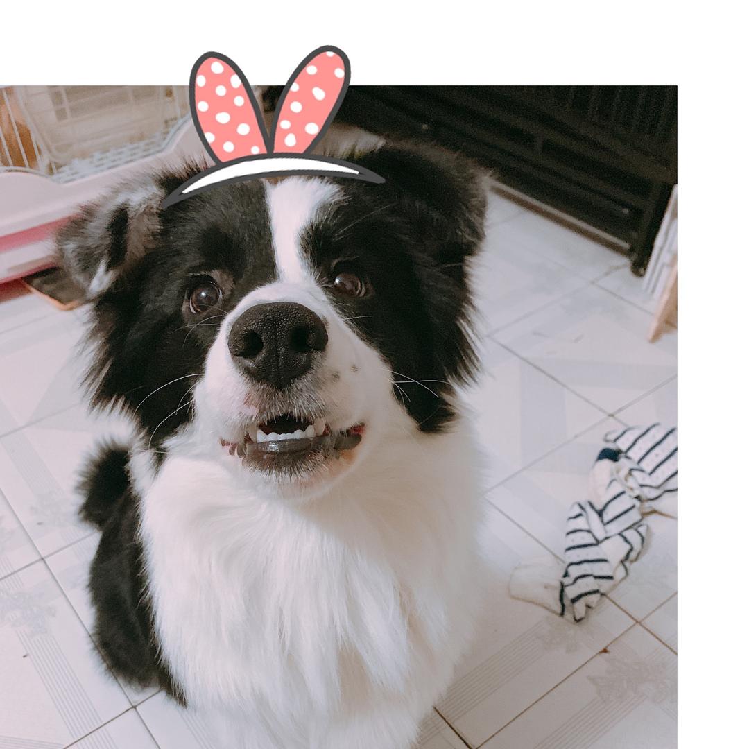 丶  菲儿  ~🇨🇳