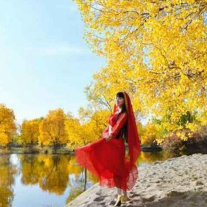 胡杨luohong