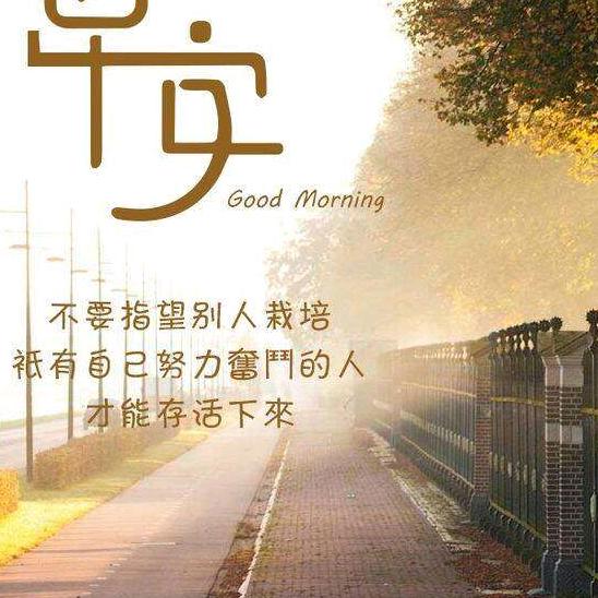 麻妞